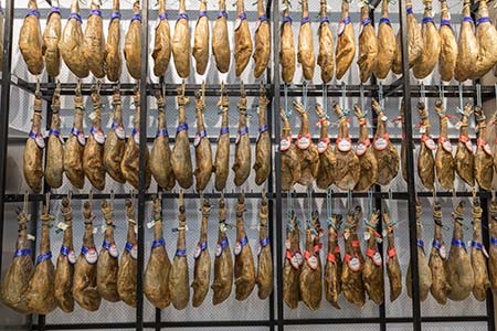 Jamones y paletas ibéricas y de cebo